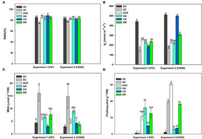 Foliar Growth Regulator Sprays Induced Tolerance to Combined Heat Stress by Enhancing Physiological and Biochemical Responses in Rice